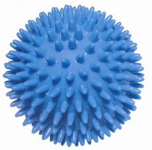 Hello PET 10 cm needle massage ball