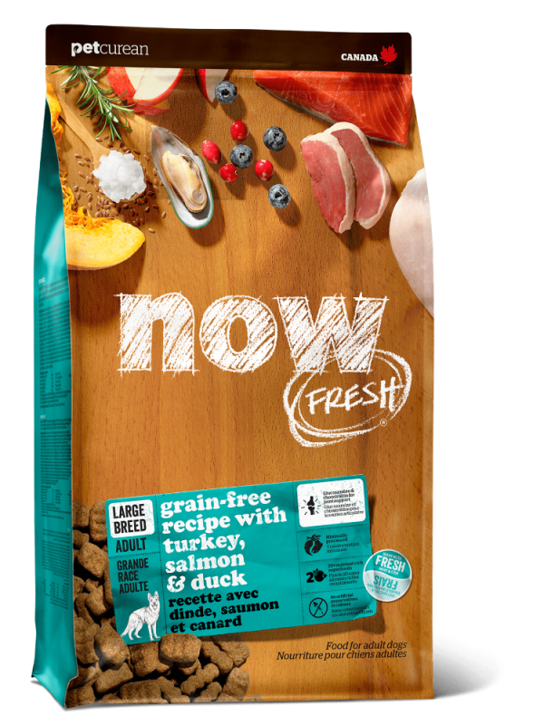 NOW Grain-free food for Adult dogs of Large breeds with Turkey, Duck and vegetables (NEW)